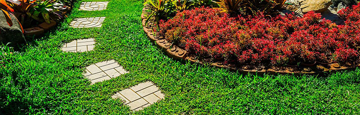 yard-maintenance